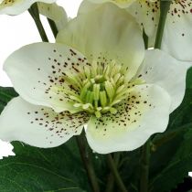 Quaresma rosa Heléboro vaso de rosas de Natal flores artificiais H25cm branco