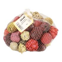 Itens Cones Leucadendron Bellgum Verde Vermelho Amarelo Fosco 300g