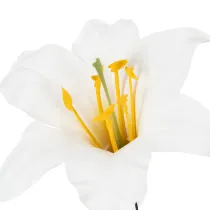 Itens Flor de lírio artificial, branca, em arame, tamanho médio, 35 cm, 5 peças