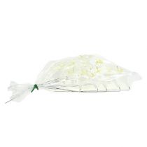 Itens Lírio em fio médio 25 unidades