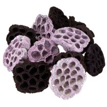 Itens Lotus Mix Rosa, Erika Ø6cm - Ø10cm 50 unidades