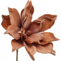 Flor de Lótus Planta Artificial Flor de Lótus Artificial Marrom L64cm