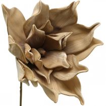 Flor de lótus, decoração de flor de lótus, planta artificial bege L66cm