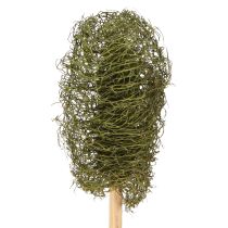 Itens Luffa pequena em palito esponja pepino verde escuro 5-7cm 25 unidades