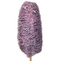 Itens Luffa em um caule pequena baga decorativa seca 5-12 cm 25 unidades