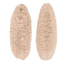 Itens Luffa grande branqueada 20 unidades