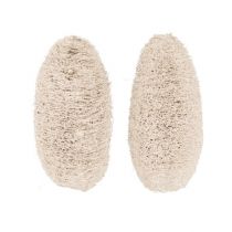 Itens Luffa pequena branqueada 50 unid.