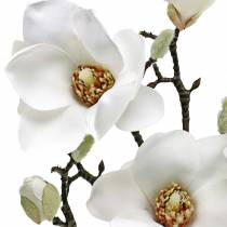 Itens Ramo de magnólia branco Ramo decorativo flor artificial de magnólia