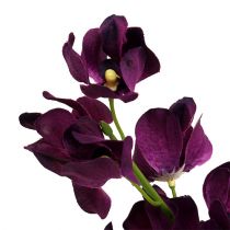 Mokara orquídea roxa 50 cm artificial 6 unidades