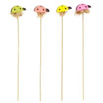 Itens Flor decorativa joaninha plugs madeira colorida 3,5 cm 24 un