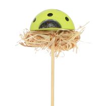 Itens Flor decorativa joaninha plugs madeira colorida 3,5 cm 24 un