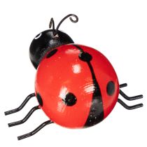 Itens Joaninhas de madeira/bichos da sorte, lindas decorações para casa, 5 cm, 6 peças