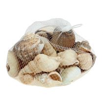 Marítimo deco shell mix natureza 400g