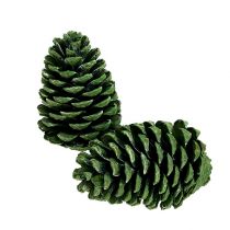 Itens Cones Maritima 10cm - 16cm verde fosco 12 unidades