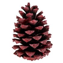 Itens Cones Maritima 10-15cm vermelho fosco 12 unidades