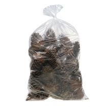 Itens Cones Maritima 14/18 naturais 25 un