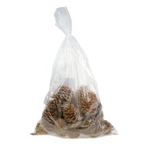 Itens Cones Maritima creme-baunilha misto 5-18cm 25 unidades