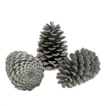 Itens Cones Marítimos 10cm - 14cm branco lavado 25p