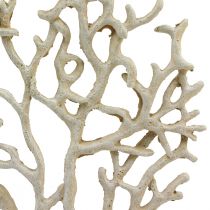Itens Decoração de mesa marítima coral bege decorativo coral poliresina Alt.20cm