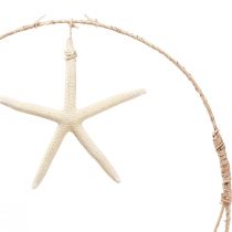 Itens Decoração de parede marítima com estrela do mar real Ø26,5cm Alt.65cm