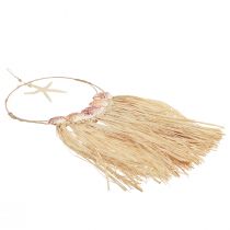 Itens Decoração de parede marítima com estrela do mar real Ø26,5cm Alt.65cm