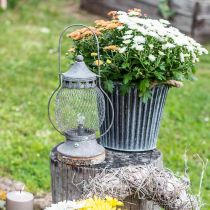 Lanterna de metal, lâmpada LED, Shabby Chic Ø16cm Alt.33,5cm