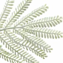Itens Ramo decorativo mimosa efeito geada verde 63cm