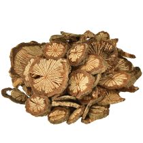 Itens Mini discos de madeira decoração de noz de bétele com grãos 1-4,5cm 300g