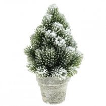Mini árvore de natal em vaso nevado artificialmente Ø14cm H24cm