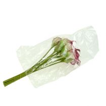 Itens Mini calla artificial 28cm Erika, creme 12 unid.