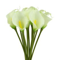 Itens Mini Calla branco artificial L 28cm 12uds