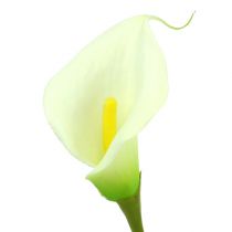 Itens Mini Calla branco artificial L 28cm 12uds