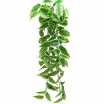 Funkie com bordas brancas verde artificial, branco 100cm
