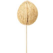 Itens Bola Mintolla branqueada 8cm - 10cm C46cm 6 unid.