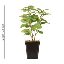Itens Hortelã em vaso, ervas artificiais, planta verde, 24 cm de altura
