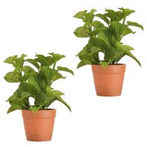 Itens Hortelã em vaso Ervas artificiais Plantas artificiais 18cm 2 unidades