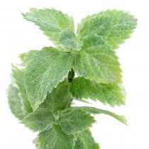 Itens Menta verde artificial 25 cm 12 unidades