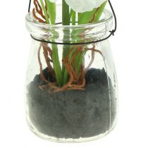 Itens Poppy em um copo para pendurar H22cm branco