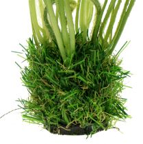 Itens Papoula branca na grama 23cm