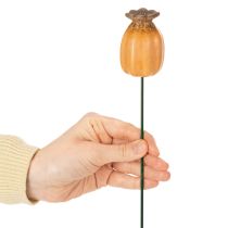 Itens Cápsula de papoula para jardim - destaque decorativo para jardim e projetos de faça você mesmo - 41 cm, 4 peças