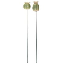 Itens Decorações de jardim em forma de cápsulas de sementes de papoula para arranjos encantadores no jardim, 60 cm, 2 peças.