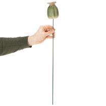 Itens Decorações de jardim em forma de cápsulas de sementes de papoula para arranjos encantadores no jardim, 60 cm, 2 peças.