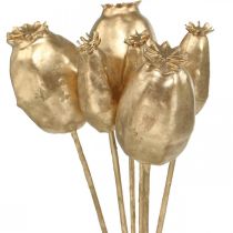 Cápsulas de papoula decoração papoula ouro artificial decoração de natal 38 cm 6 unidades