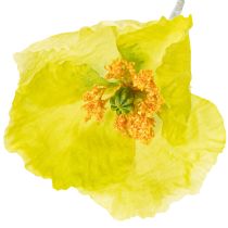 Itens Decoração artificial de papoula para salas de estar e escritórios, 95 cm