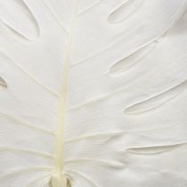 Itens Folhas de Monstera branqueadas, folha decorativa para janela, 40 cm de altura, 5 peças
