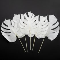 Itens Folhas de Monstera branqueadas, folha decorativa para janela, 40 cm de altura, 5 peças