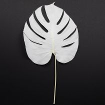Itens Folhas de Monstera branqueadas folha decorativa para janela H40cm 5 peças