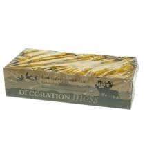 Itens Amarelo Musgo Rena 400g