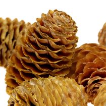Itens Creme de cones Sabulosum 500g
