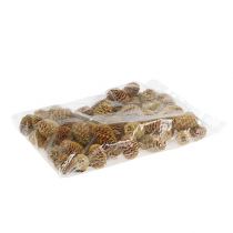 Itens Creme de cones Sabulosum 500g